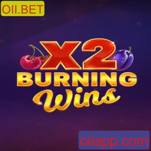 Explorando o Mundo de Emoções e Recompensas com BurningWinsX2
